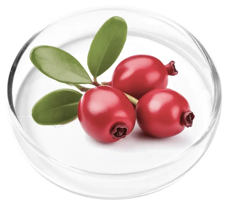 Bearberry leaf extract (Uva Ursi) in FemiCore supplement